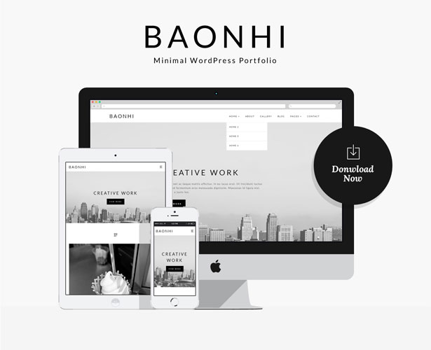 Baonhi - Minimal Portfolio WordPress Theme - 1